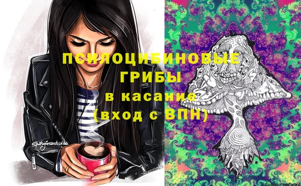 гашик Алзамай