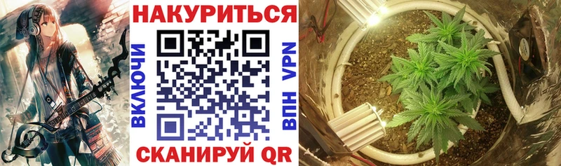 Конопля сатива Новоульяновск